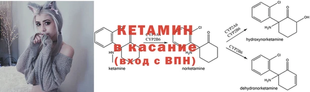 ешки Нягань