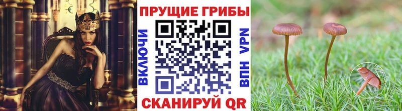 omg сайт  Абдулино  Галлюциногенные грибы мицелий  как найти закладки 